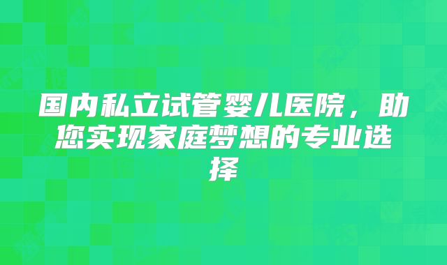 国内私立试管婴儿医院，助您实现家庭梦想的专业选择