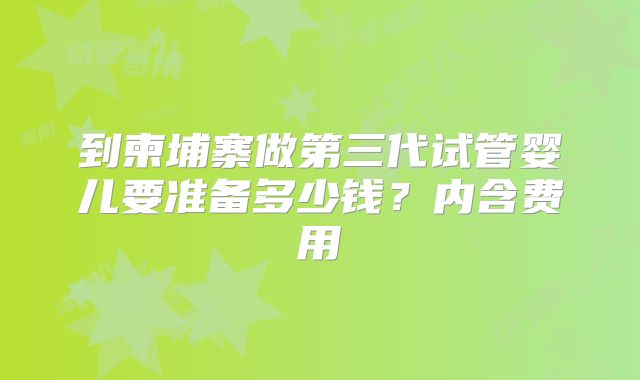 到柬埔寨做第三代试管婴儿要准备多少钱？内含费用