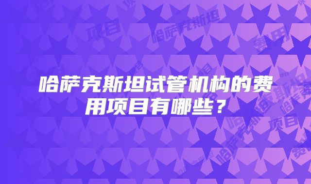 哈萨克斯坦试管机构的费用项目有哪些？