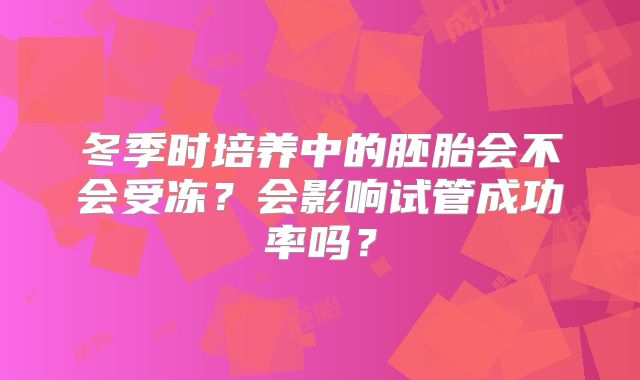冬季时培养中的胚胎会不会受冻？会影响试管成功率吗？