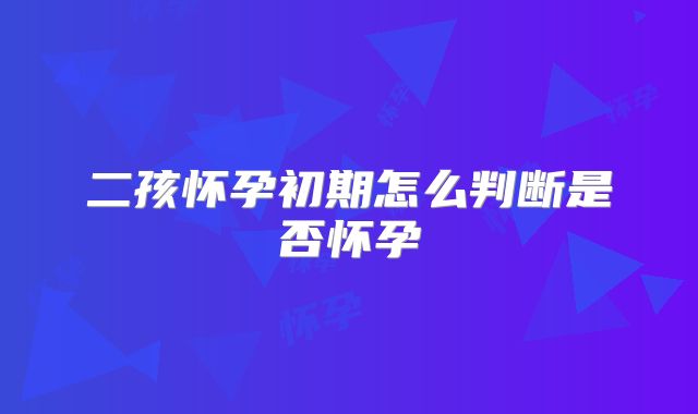 二孩怀孕初期怎么判断是否怀孕
