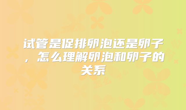 试管是促排卵泡还是卵子，怎么理解卵泡和卵子的关系