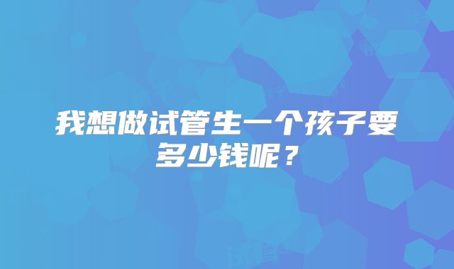 我想做试管生一个孩子要多少钱呢？