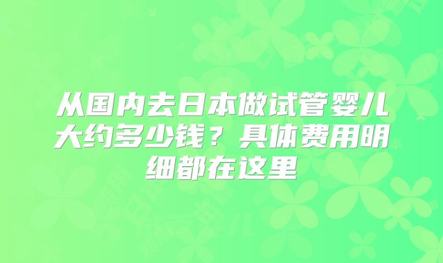 从国内去日本做试管婴儿大约多少钱？具体费用明细都在这里