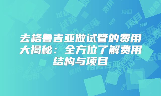 去格鲁吉亚做试管的费用大揭秘：全方位了解费用结构与项目