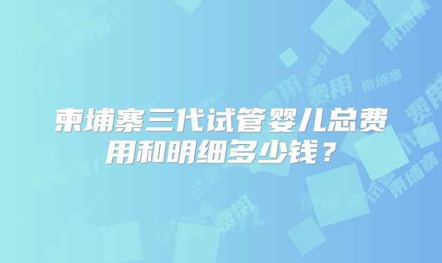 柬埔寨三代试管婴儿总费用和明细多少钱?