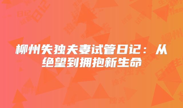柳州失独夫妻试管日记：从绝望到拥抱新生命