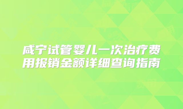 咸宁试管婴儿一次治疗费用报销金额详细查询指南