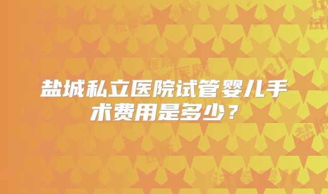 盐城私立医院试管婴儿手术费用是多少？