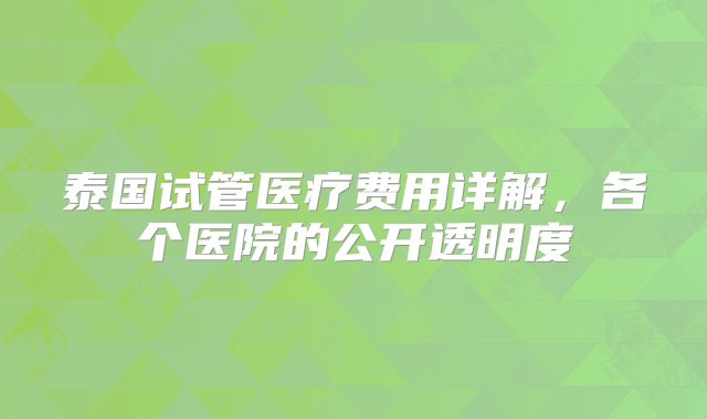 泰国试管医疗费用详解，各个医院的公开透明度