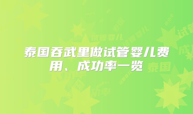 泰国吞武里做试管婴儿费用、成功率一览