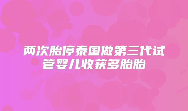 两次胎停泰国做第三代试管婴儿收获多胎胎