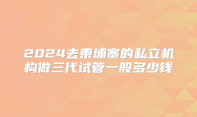 2024去柬埔寨的私立机构做三代试管一般多少钱