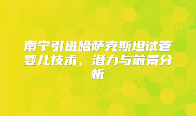南宁引进哈萨克斯坦试管婴儿技术，潜力与前景分析