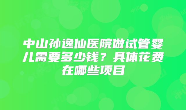 中山孙逸仙医院做试管婴儿需要多少钱？具体花费在哪些项目