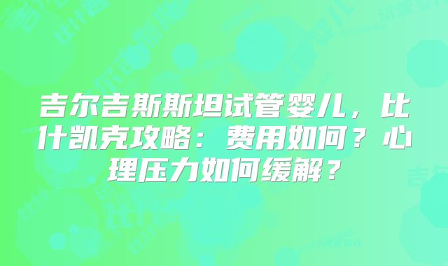 吉尔吉斯斯坦试管婴儿，比什凯克攻略：费用如何？心理压力如何缓解？