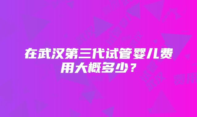 在武汉第三代试管婴儿费用大概多少？