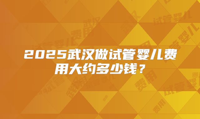 2025武汉做试管婴儿费用大约多少钱?