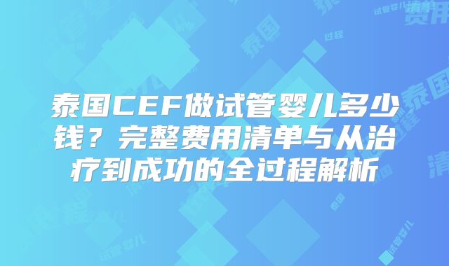 泰国CEF做试管婴儿多少钱？完整费用清单与从治疗到成功的全过程解析