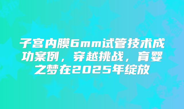 子宫内膜6mm试管技术成功案例，穿越挑战，育婴之梦在2025年绽放
