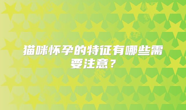猫咪怀孕的特征有哪些需要注意？
