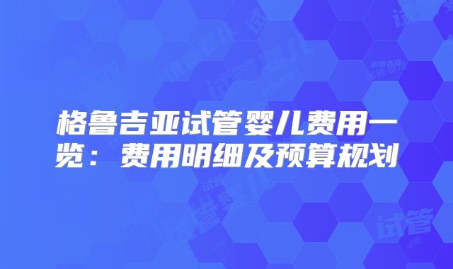 格鲁吉亚试管婴儿费用一览：费用明细及预算规划
