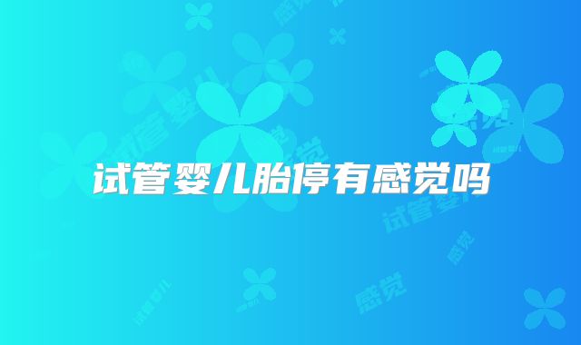 试管婴儿胎停有感觉吗