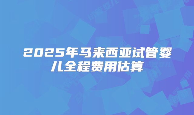 2025年马来西亚试管婴儿全程费用估算