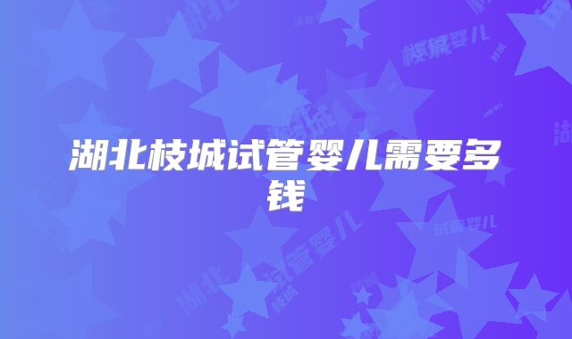 湖北枝城试管婴儿需要多钱