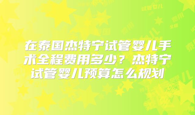 在泰国杰特宁试管婴儿手术全程费用多少？杰特宁试管婴儿预算怎么规划