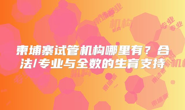 柬埔寨试管机构哪里有？合法/专业与全数的生育支持
