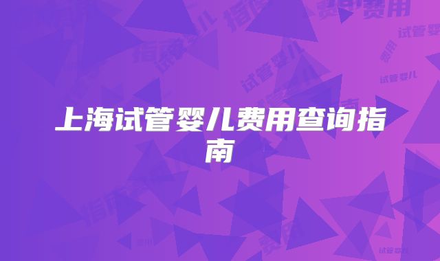 上海试管婴儿费用查询指南