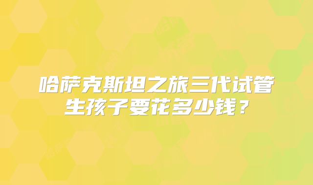 哈萨克斯坦之旅三代试管生孩子要花多少钱？