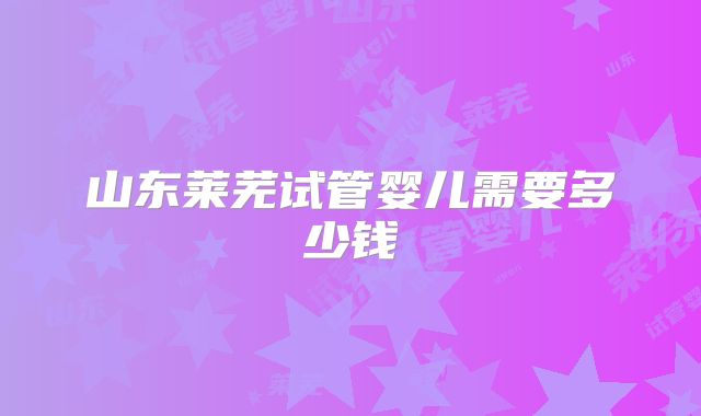 山东莱芜试管婴儿需要多少钱