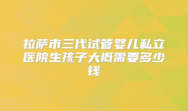 拉萨市三代试管婴儿私立医院生孩子大概需要多少钱