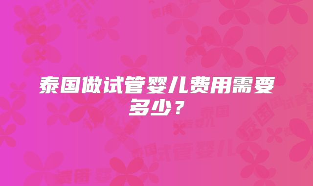 泰国做试管婴儿费用需要多少？