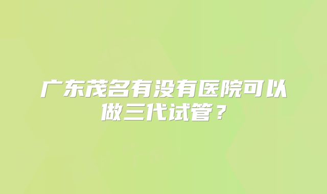 广东茂名有没有医院可以做三代试管?