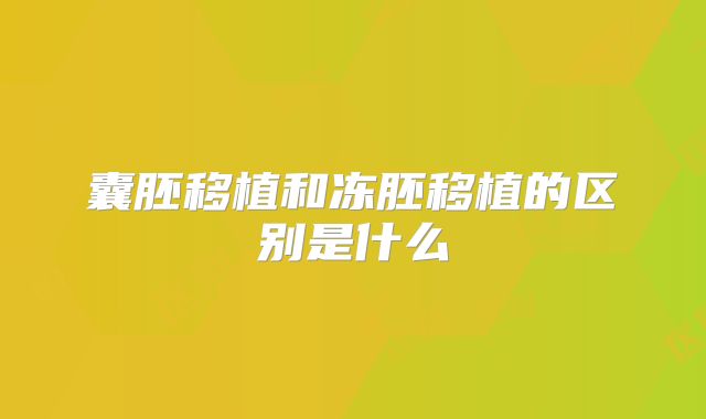 囊胚移植和冻胚移植的区别是什么