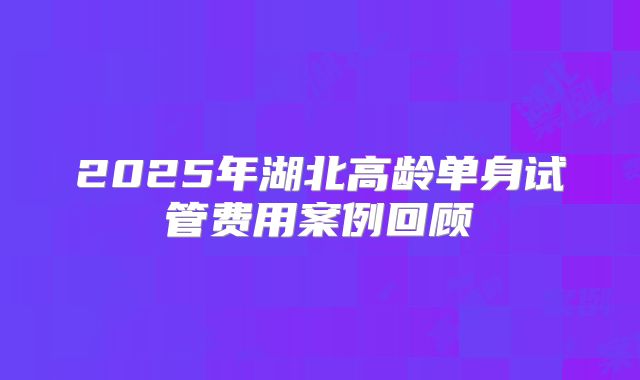 2025年湖北高龄单身试管费用案例回顾