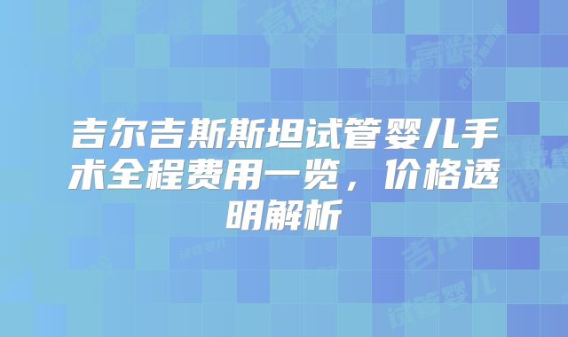吉尔吉斯斯坦试管婴儿手术全程费用一览，价格透明解析