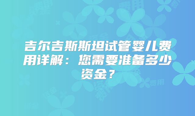 吉尔吉斯斯坦试管婴儿费用详解：您需要准备多少资金？