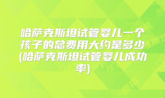 哈萨克斯坦试管婴儿一个孩子的总费用大约是多少(哈萨克斯坦试管婴儿成功率)