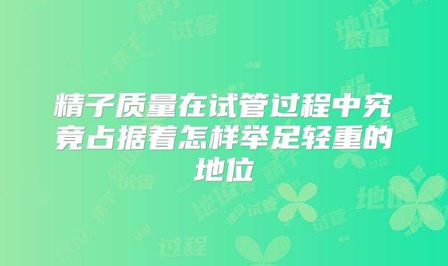 精子质量在试管过程中究竟占据着怎样举足轻重的地位