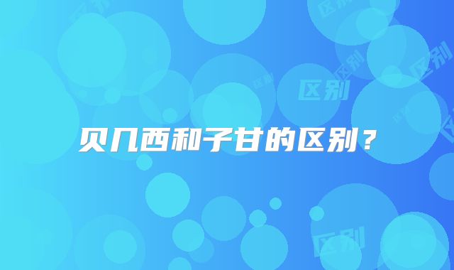 贝几西和子甘的区别?