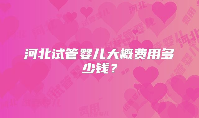 河北试管婴儿大概费用多少钱？