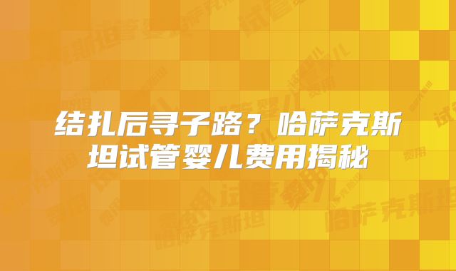 结扎后寻子路？哈萨克斯坦试管婴儿费用揭秘