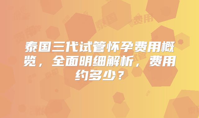 泰国三代试管怀孕费用概览，全面明细解析，费用约多少？
