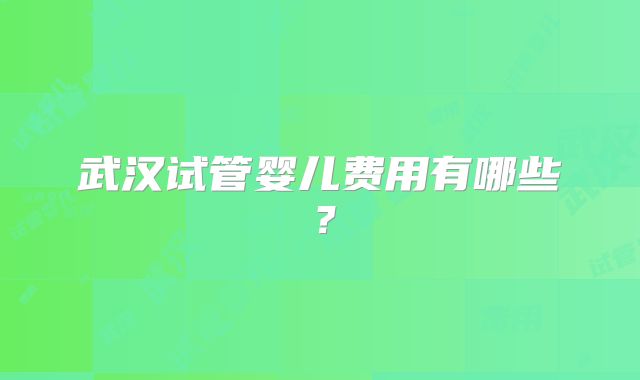 武汉试管婴儿费用有哪些？