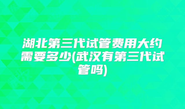 湖北第三代试管费用大约需要多少(武汉有第三代试管吗)