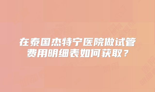 在泰国杰特宁医院做试管费用明细表如何获取？